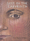 Cover image for Lost in the Labyrinth